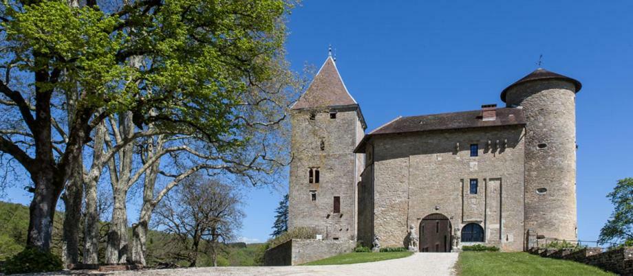 Готель Chateau De Marigna Екстер'єр фото