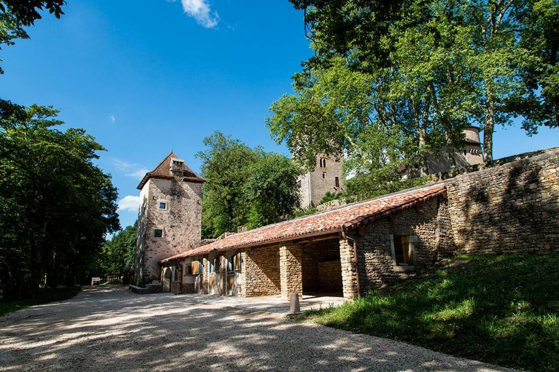Готель Chateau De Marigna Екстер'єр фото