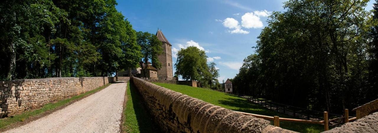 Готель Chateau De Marigna Екстер'єр фото